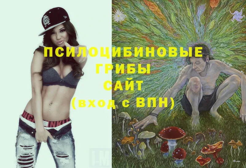 Галлюциногенные грибы Psilocybe  hydra ссылки  Заречный 